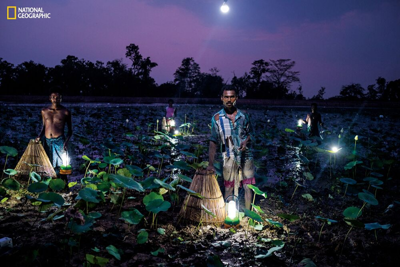 Illustration for article titled Five Striking Images Show How Solar Lanterns Are Transforming Life off the Grid